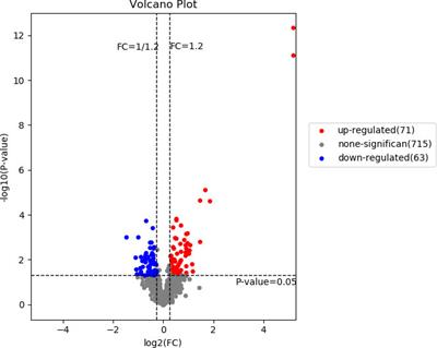 Integrated analysis of proteomics and metabolomics in girls with central precocious puberty